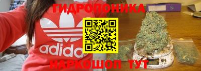 эйфоретик Новодвинск