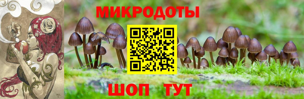 Галлюциногенные грибы GOLDEN TEACHER  Вход с VPN  Рузаевка  Галлюциногенные грибы GOLDEN TEACHER 